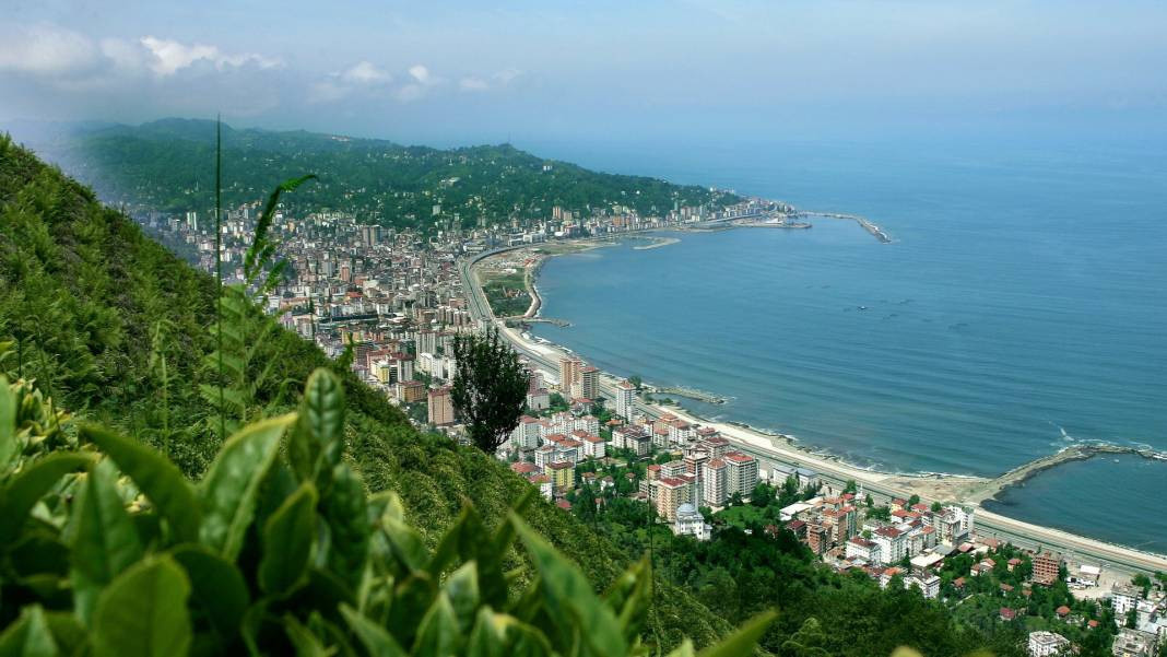 Ризе. Фото найдено в яндекс картинках.