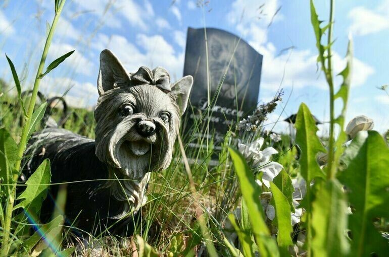   Игорь Иванко/Агентство «Москва»