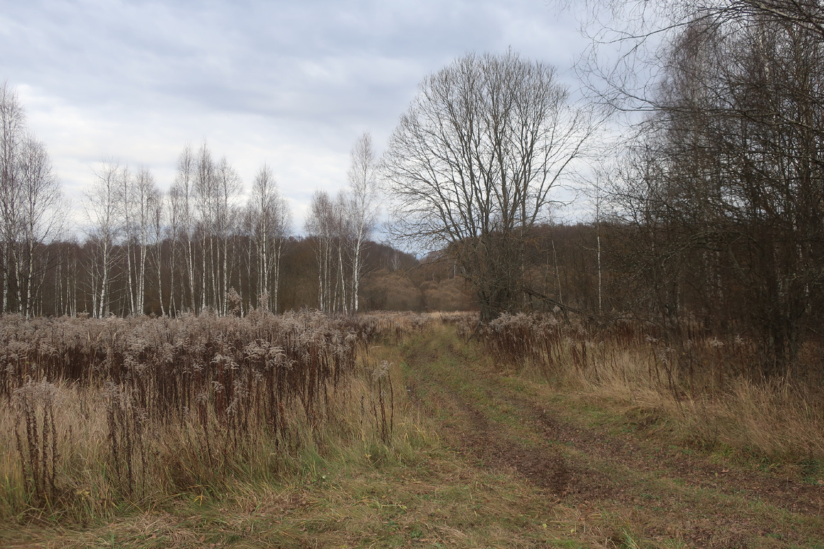 Как-то немножечко голо и серо, что ли?.. (фото И.Лебединского)