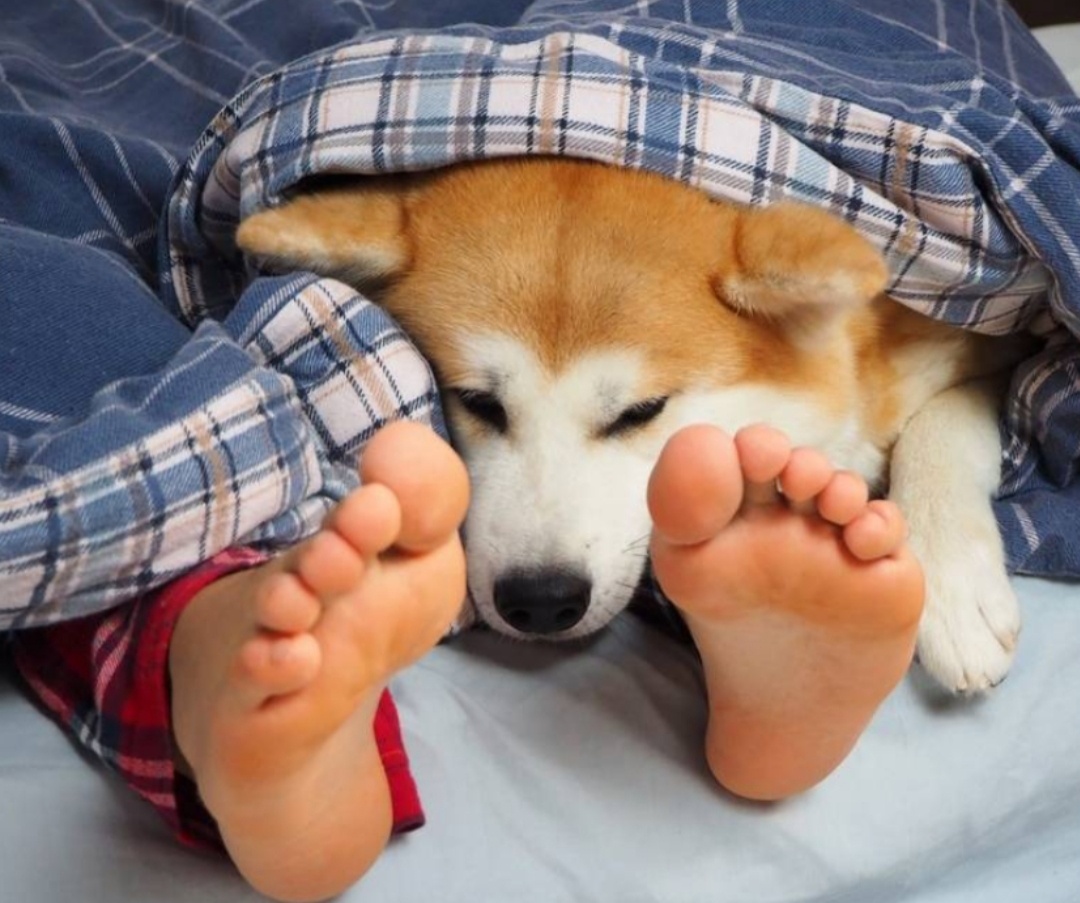 Фото из интернета