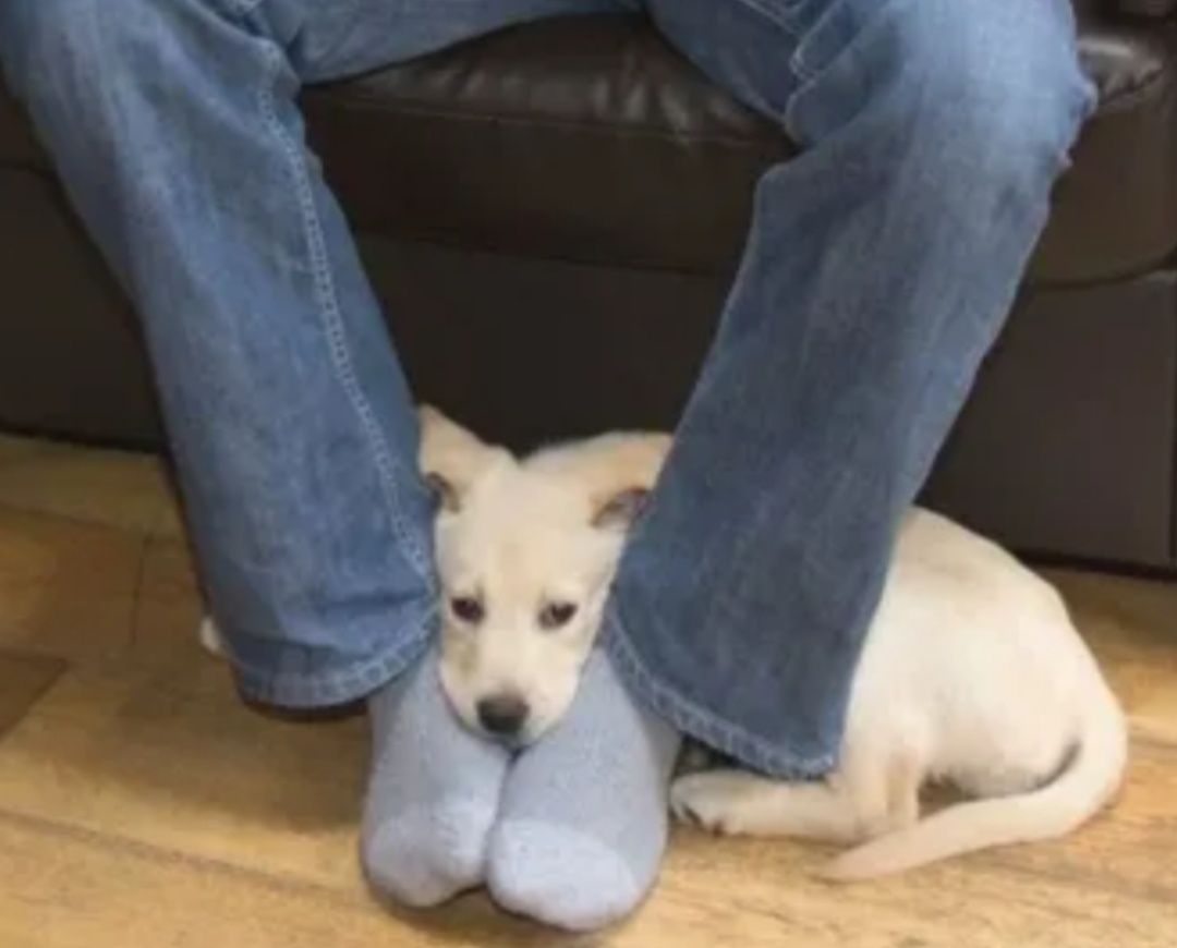 Фото из интернета