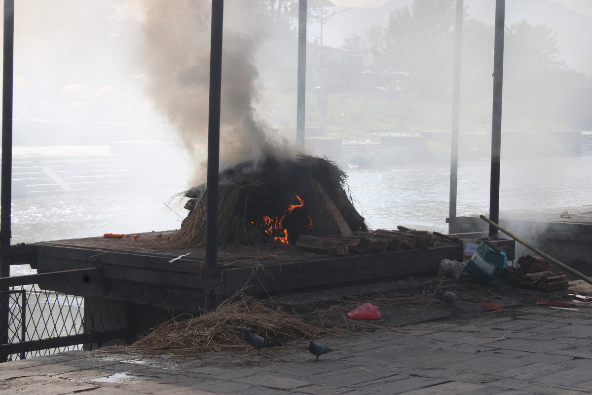 Там горят дрова!