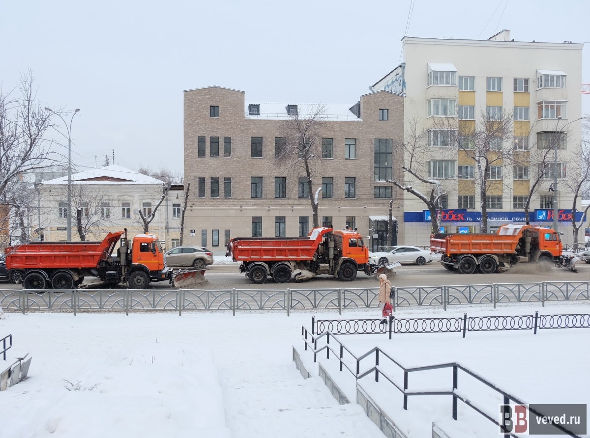     Фото: Владислав Постников / Вечерние ведомости