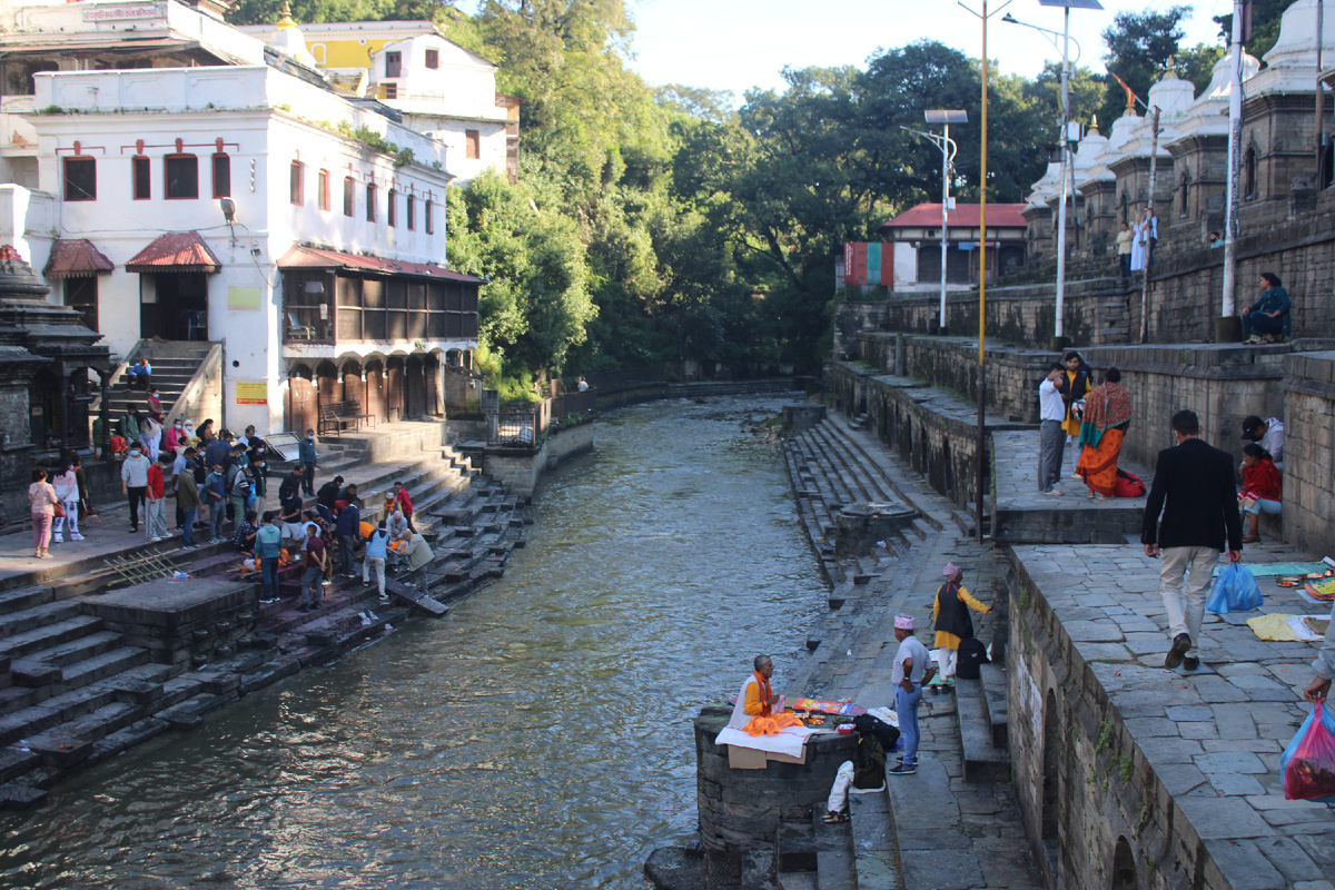 А в целом тут так
