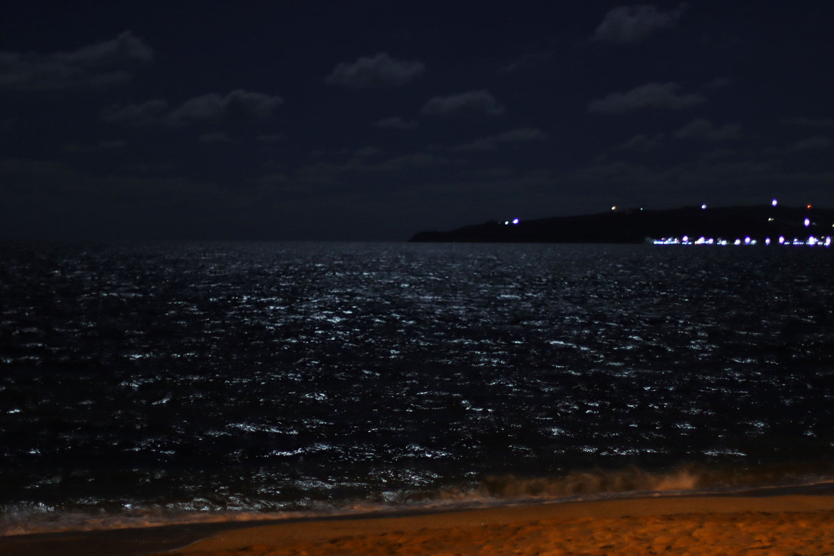 Вид из окна