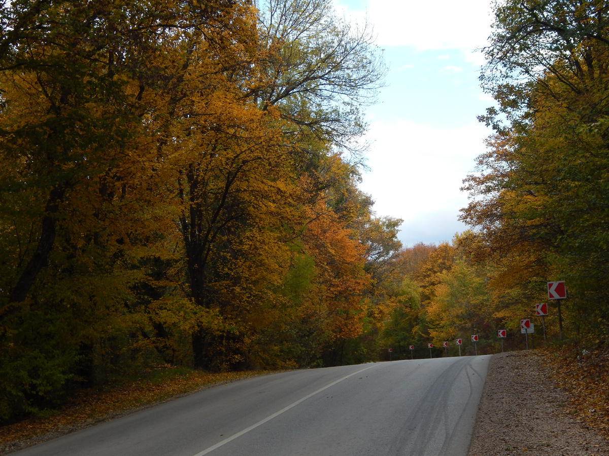 Осенняя дорога домой