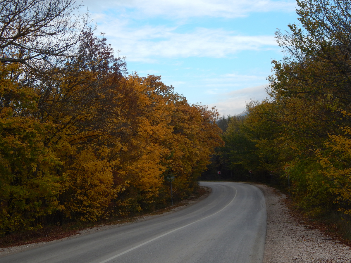 Уже ближе к дому