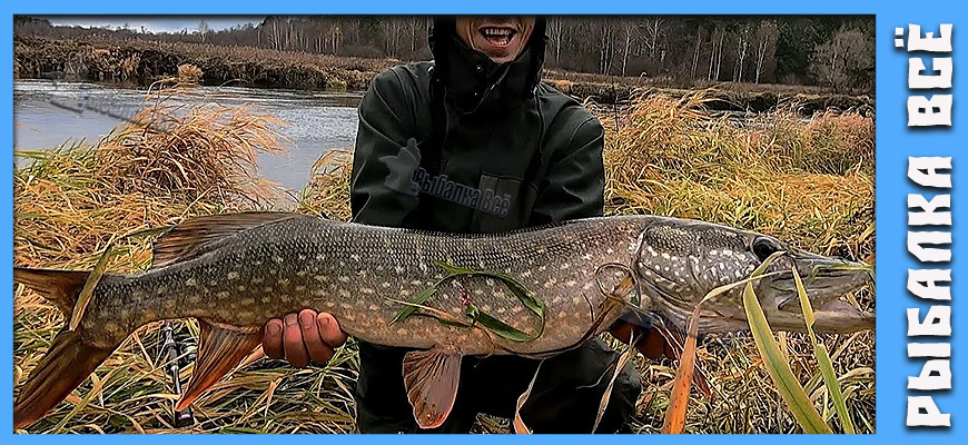 Клев как бешеный: почему ноябрь - лучшее время для ловли щуки