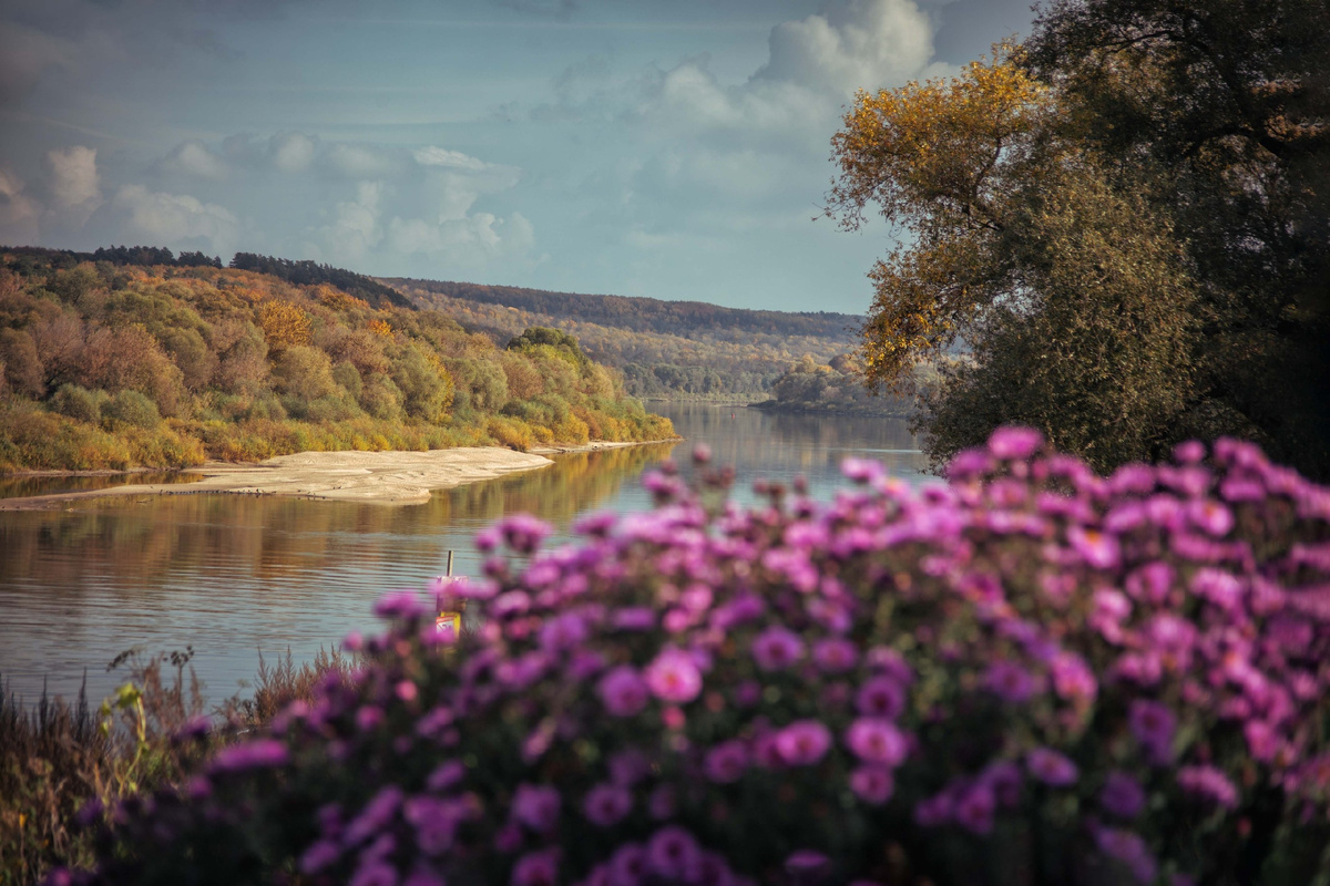 Фотограф: Оленька Кривенцова