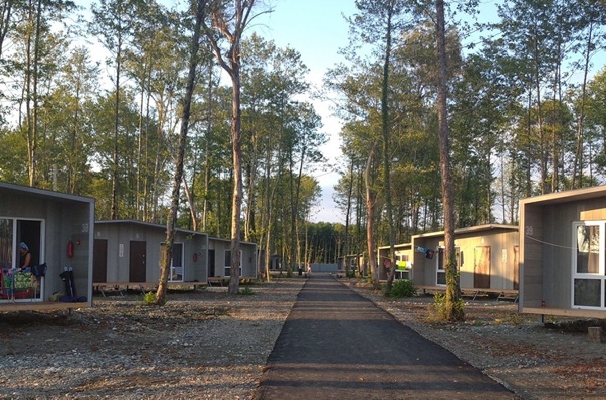 Фото Татьяны из комметариев под моей статьёй по ссылке: https://dzen.ru/a/aQzRjUXQYXLOx4Gb