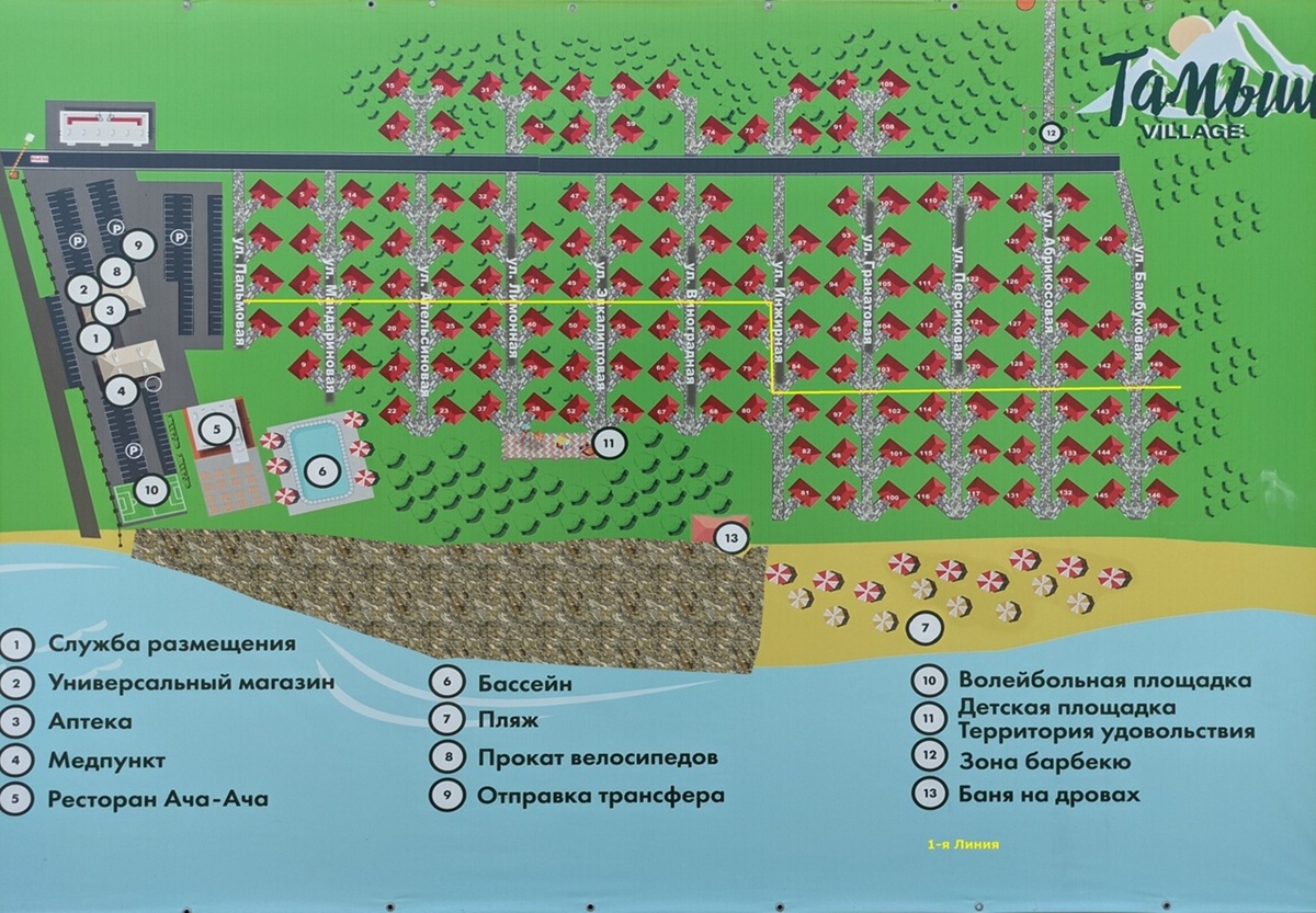 Фото из интернета