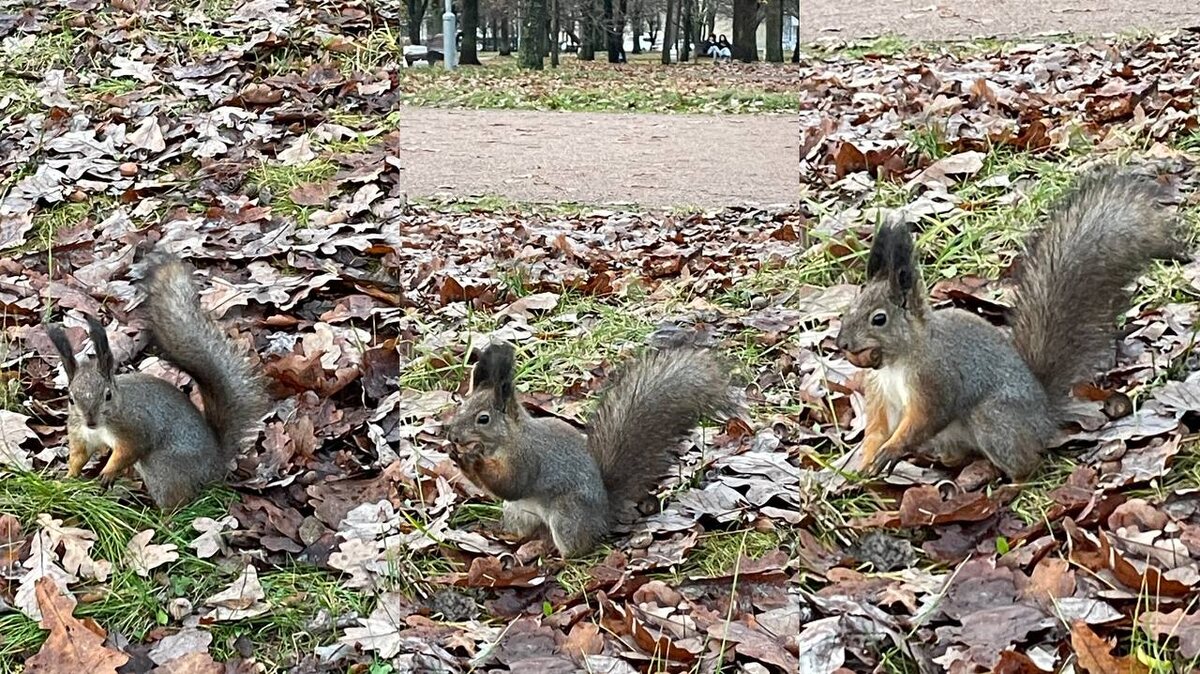 Белкаааа💜