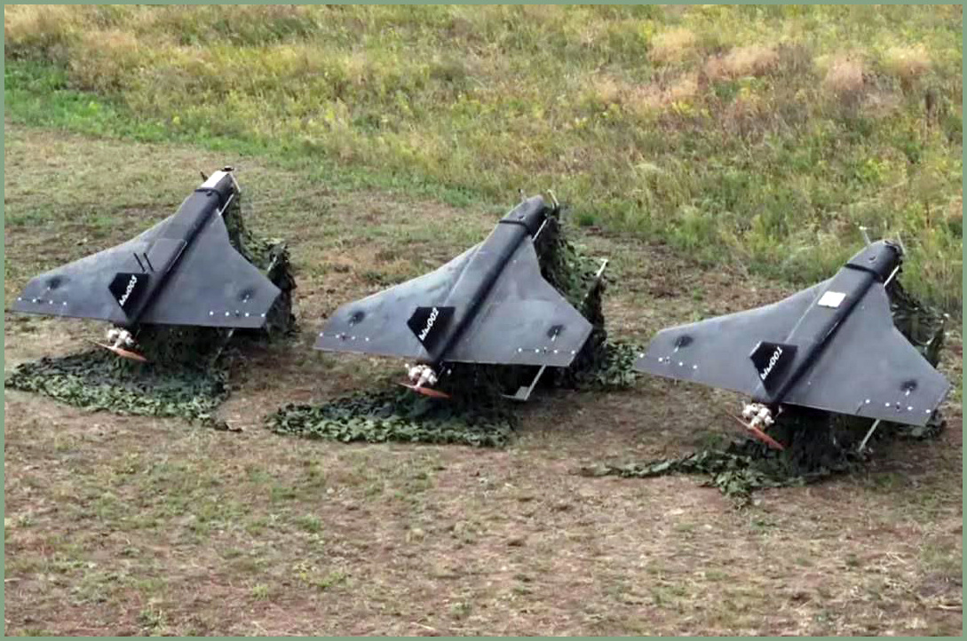 Герберы. Фото в открытом доступе.