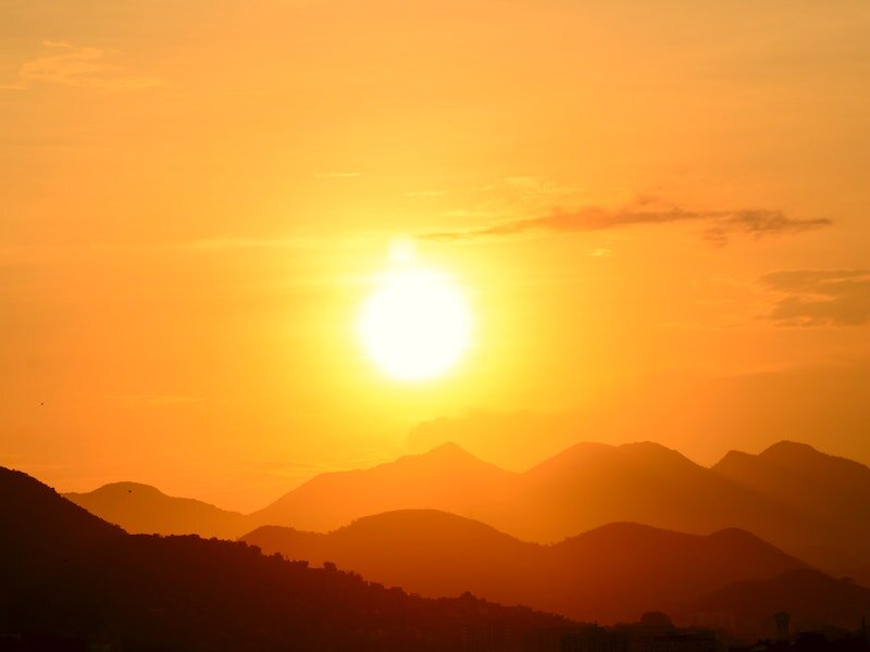     Фото: pexels.com