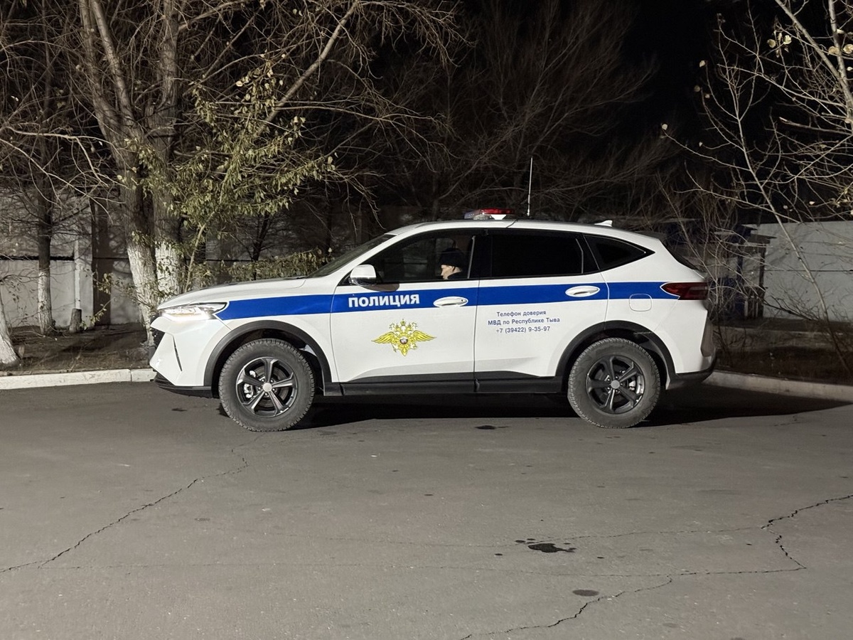 За девять месяцев 2025 года сотрудники Госавтоинспекции региона выявили 42 эпизода незаконного оборота и хранения более девяти килограммов наркотических веществ