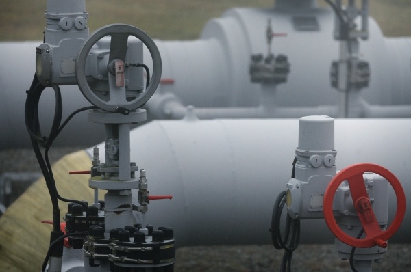 Фото: Алексей Витвицкий/РИА Новости
