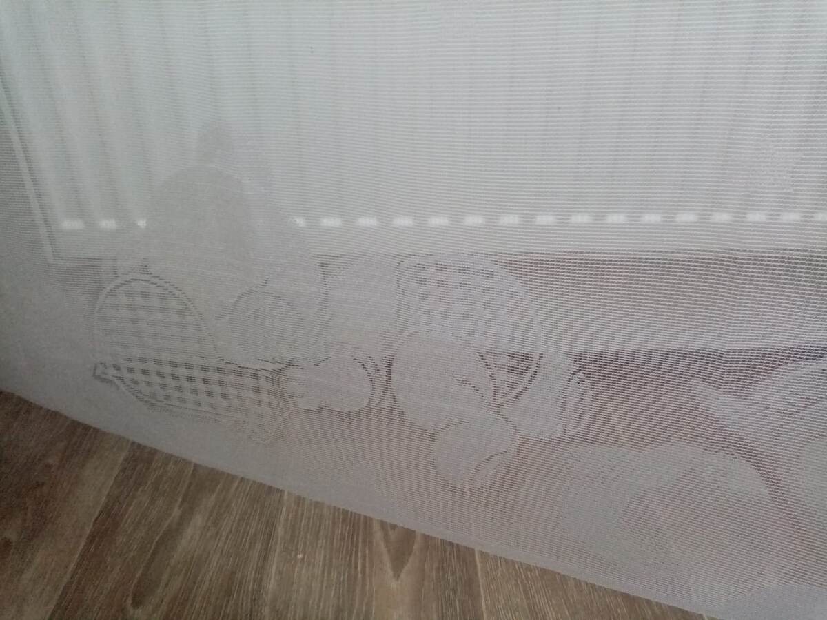 Спящие мишки