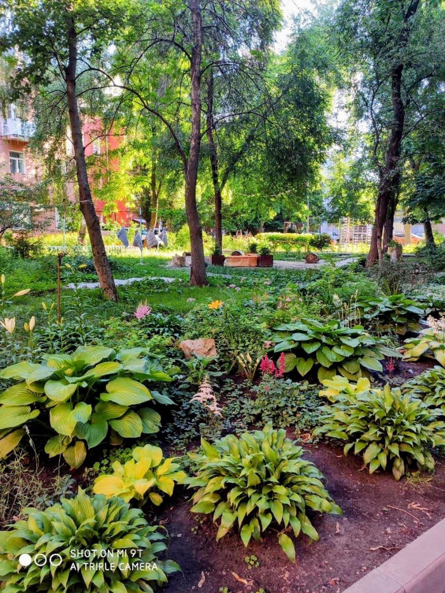 наш уютный дворик