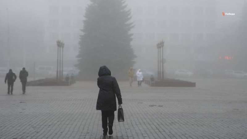      Фото: Валерия Алтухова / / ИА «Победа26»