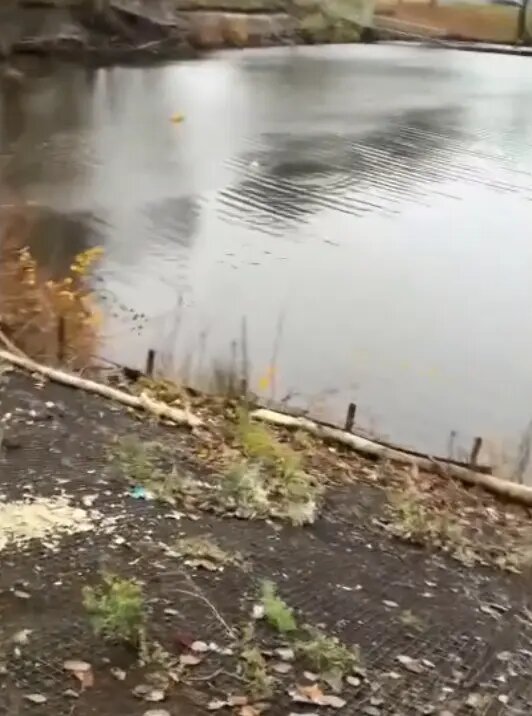    Фото: читатель Мойки78