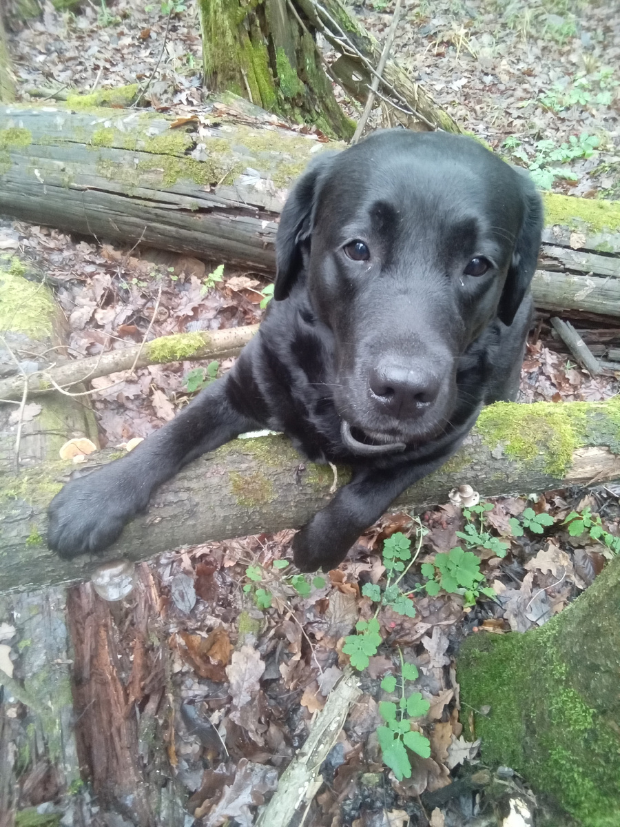 Фото автора. 