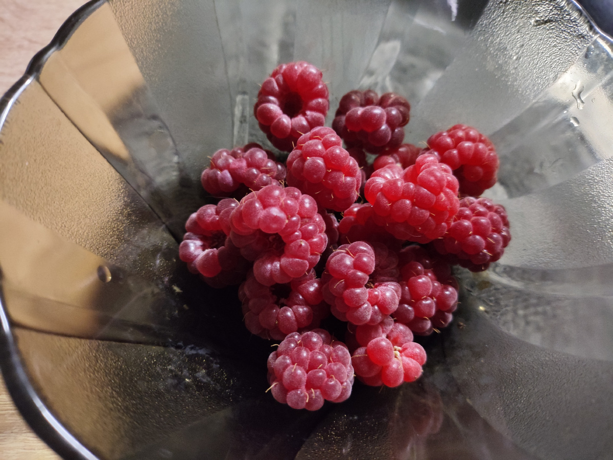 Единственное сегодняшнее фото. Малину собрала )) Аж 18 штук )))