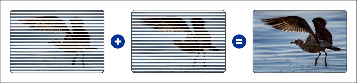 Два поля, состоящие из 263 нечётных и 262 чётных линий образуют один кадр из 525 строк (линий)