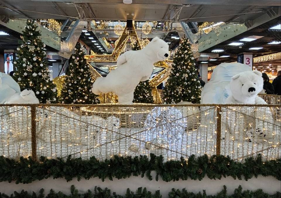    Фото: МТВ.ОНЛАЙН / Диана Селезнёва