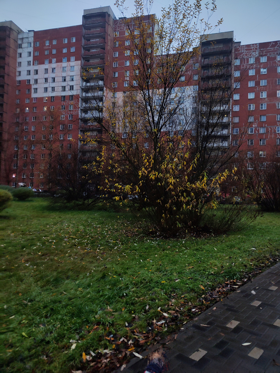 Ох уж этот депрессивный ноябрь!