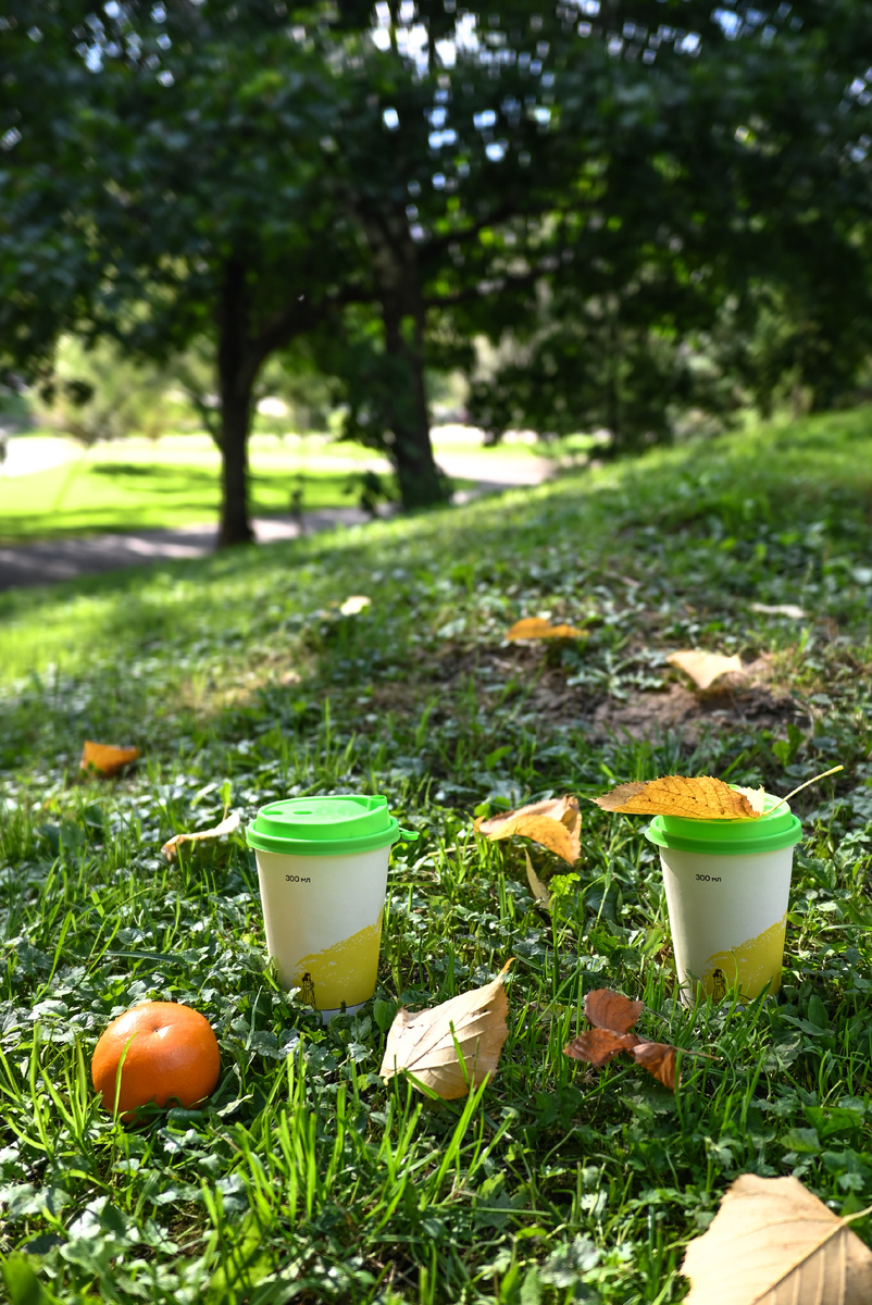 Фото сделано автором статьи