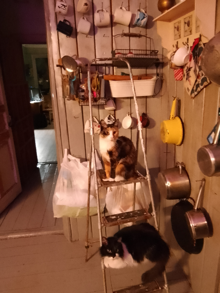 Такая наша кухня сейчас, когда мы живем в доме