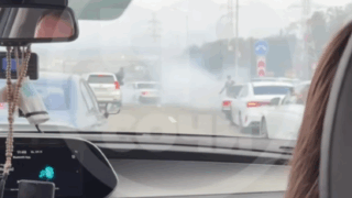    скиншот видео t.me/chp_sochi Людмила Лата