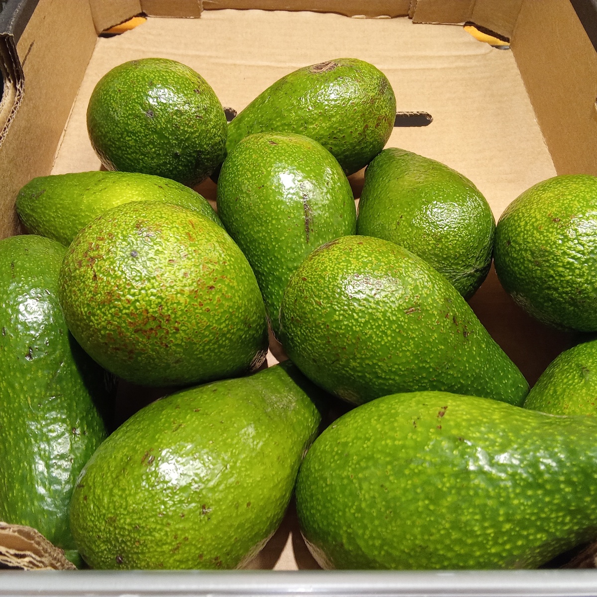 Авокадо в магазине !