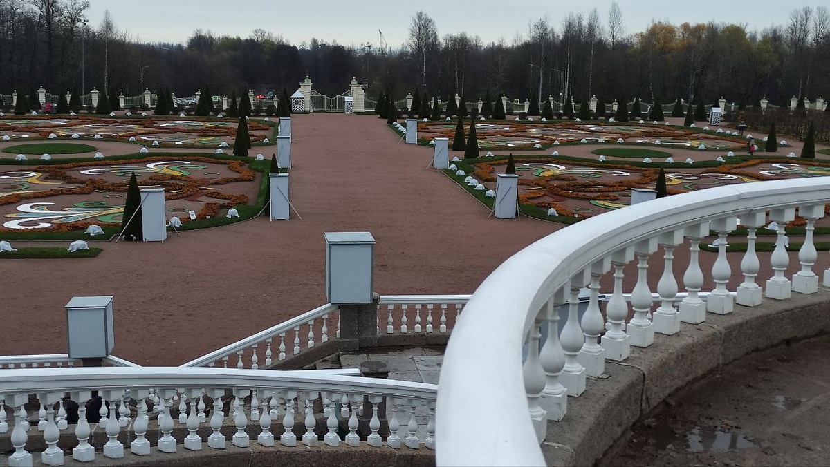 фото - авторское право #di_vito