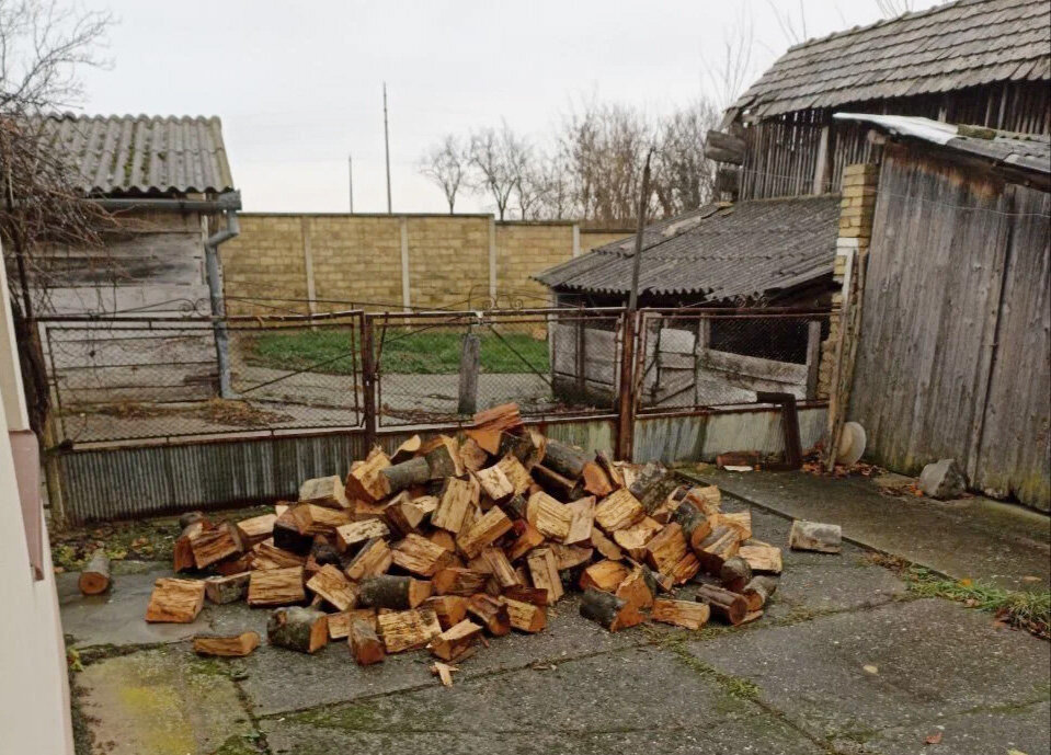Мои первые 2 кубометра дров! Местные рекомендуют брать буковые — дольше горят и дают больше тепла, но их гораздо сложнее расколоть
