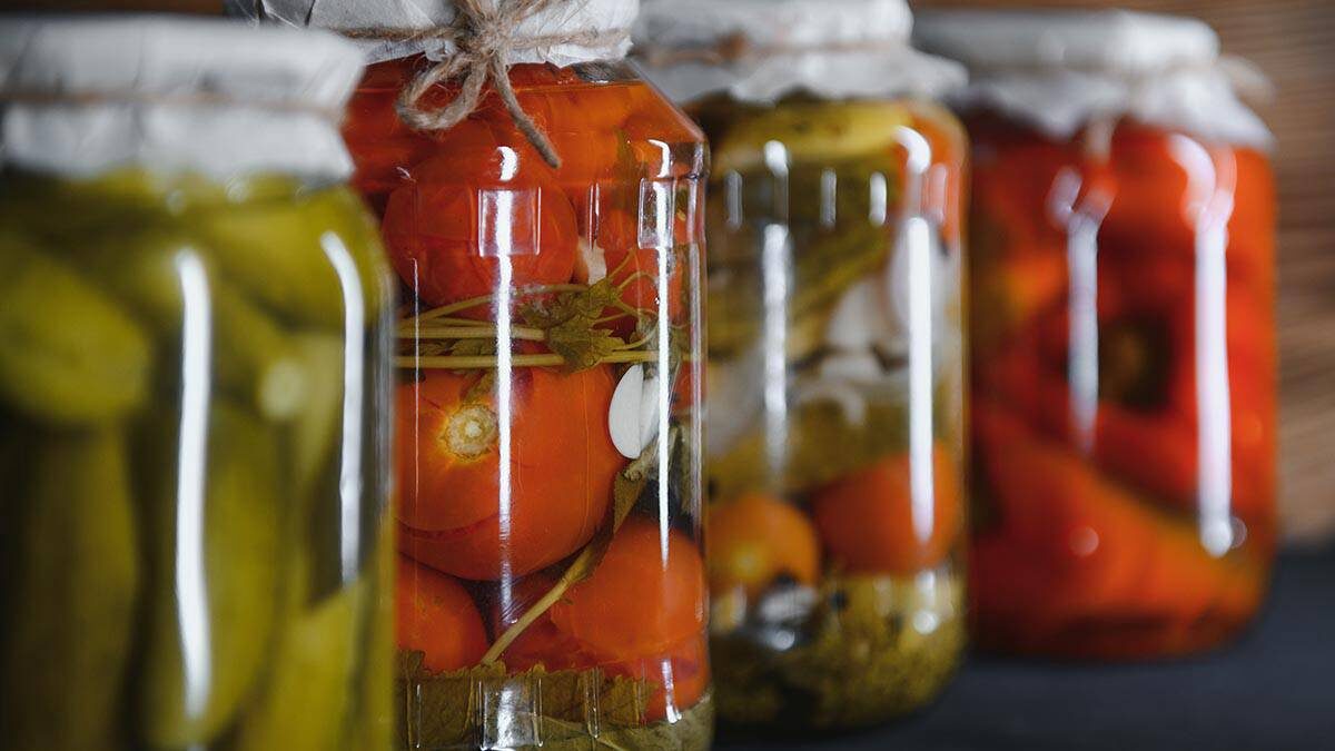    Фото: Shutterstock