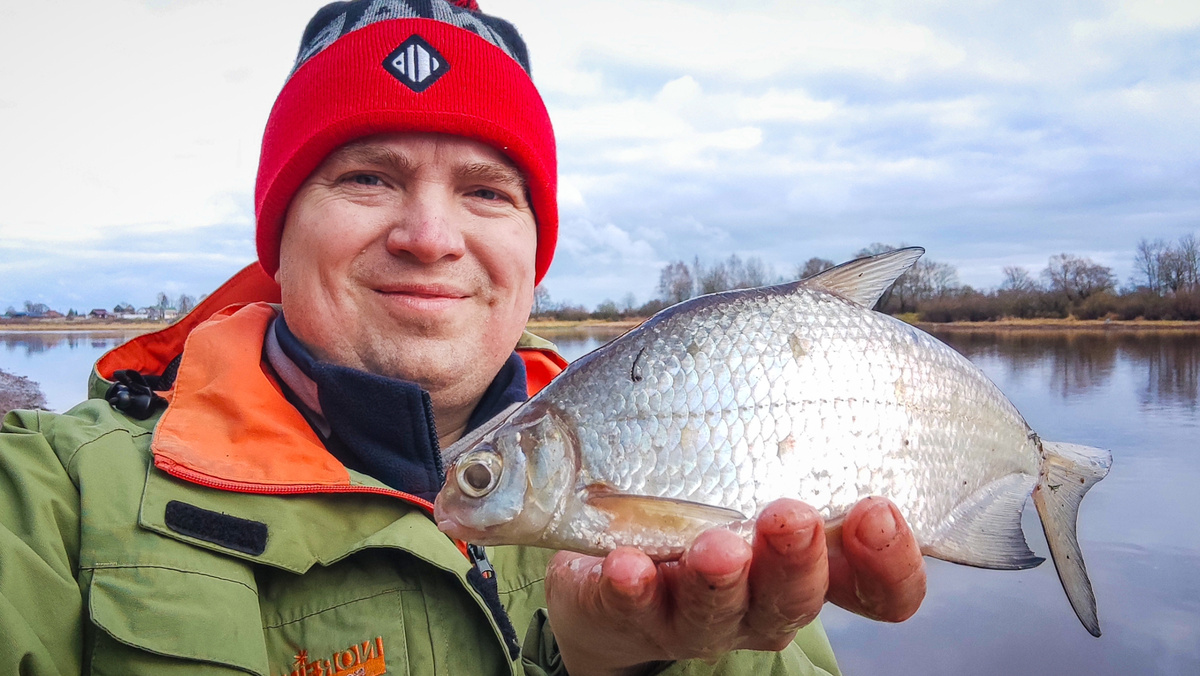 Вторая попытка разловить осенний волхов (04.11.2025)