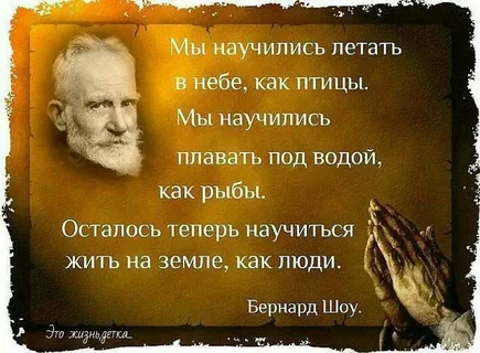 изображение из открытых источников