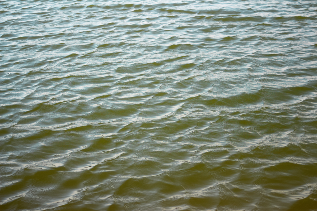    Изображение носит иллюстративный характер. Фото: tanitost / Shutterstock.com