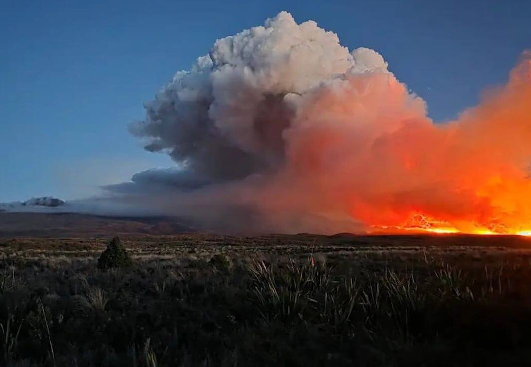     / Источник: Социальные сети