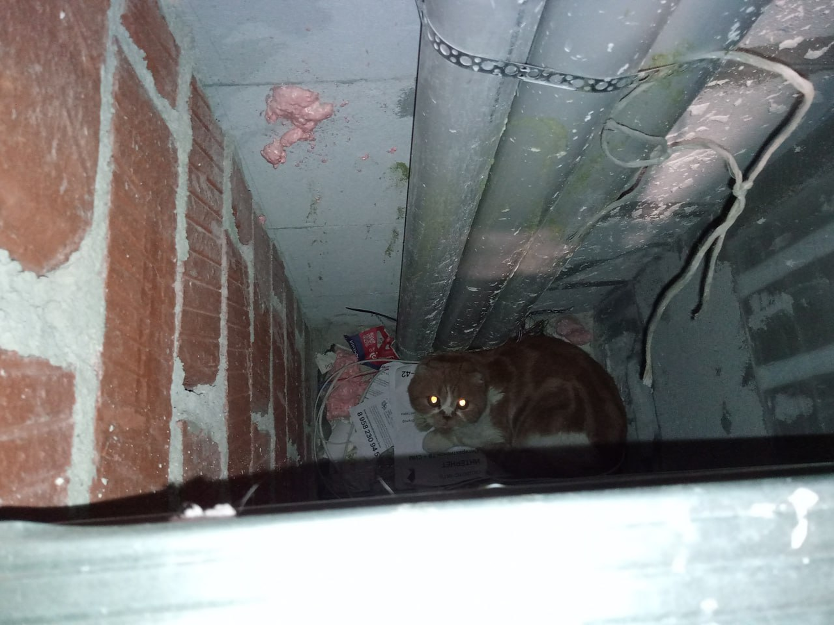    «ЗооСпас в Екатеринбурге»