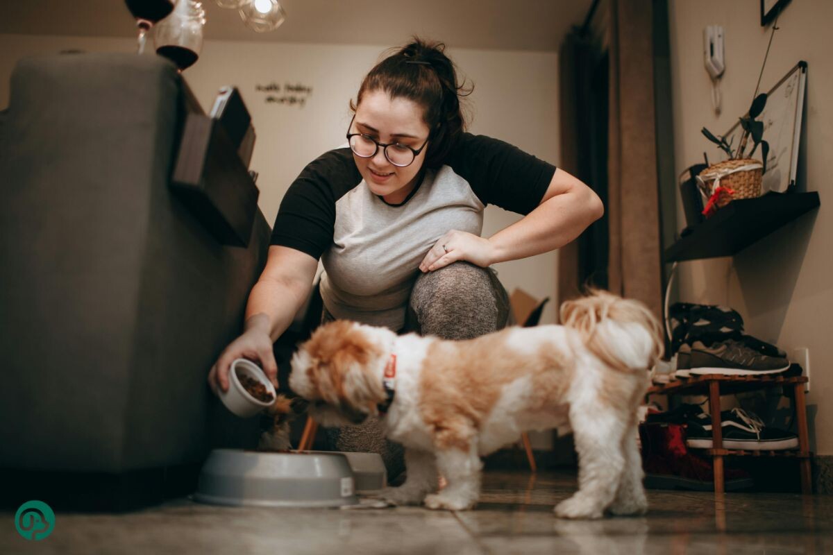 Женщина кормит собаку 