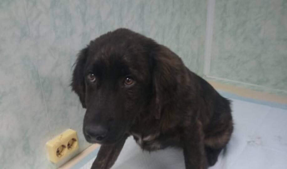 Такие сборы обычно не идут