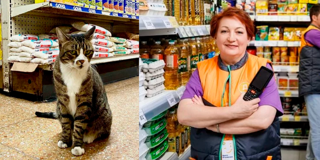 «7 лет работаю в Дикси»: Больше не могу молчать откуда низкие цены и какое качество продуктов - знаю кухню изнутри (исповедь продавца)