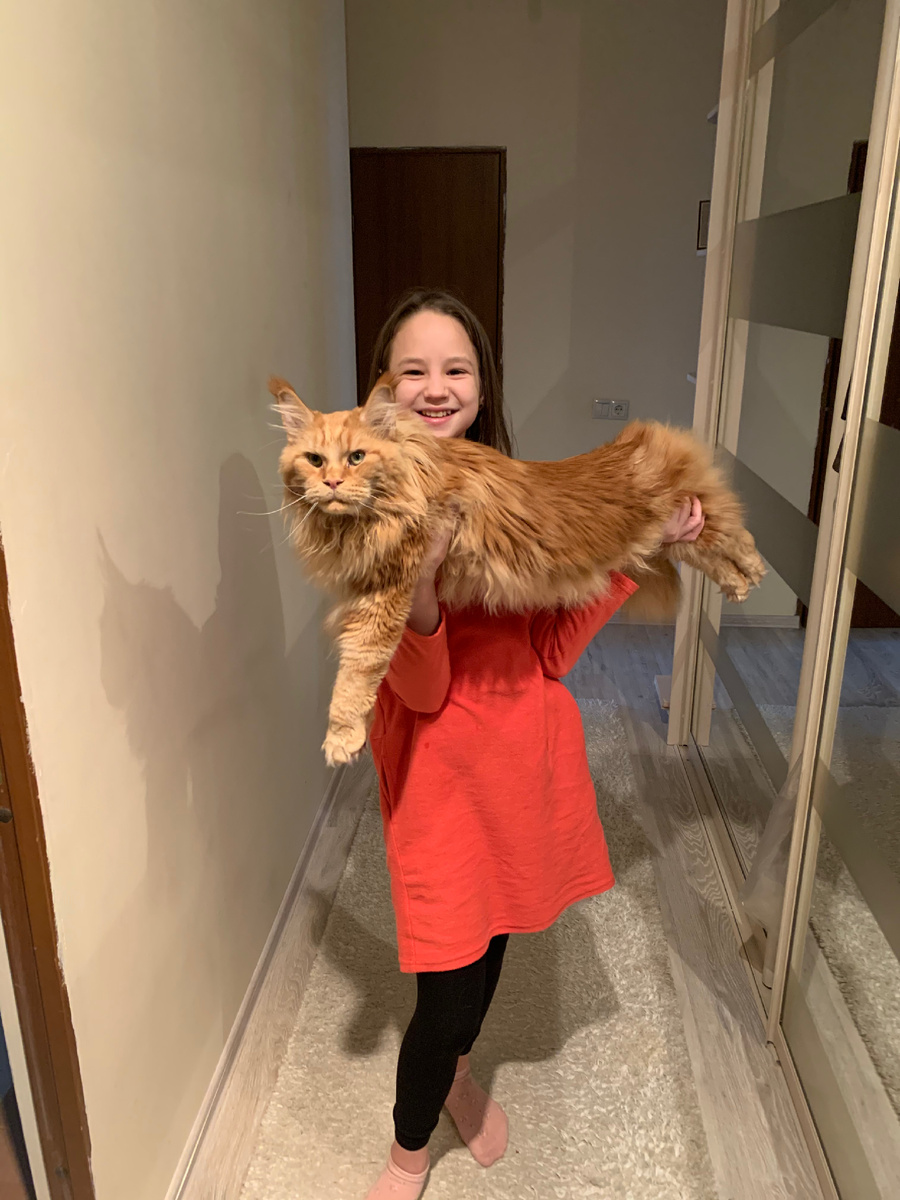 Фото автора. Наташа и кот подруги Макс!