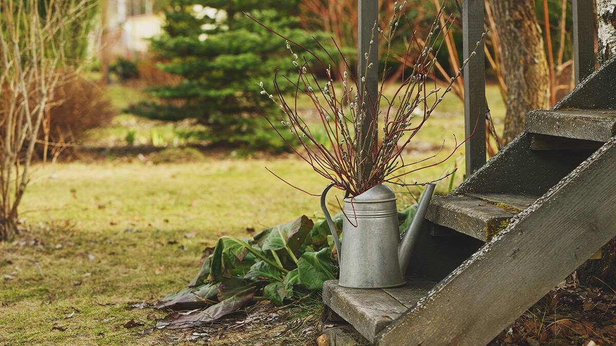    Фото: Shutterstock