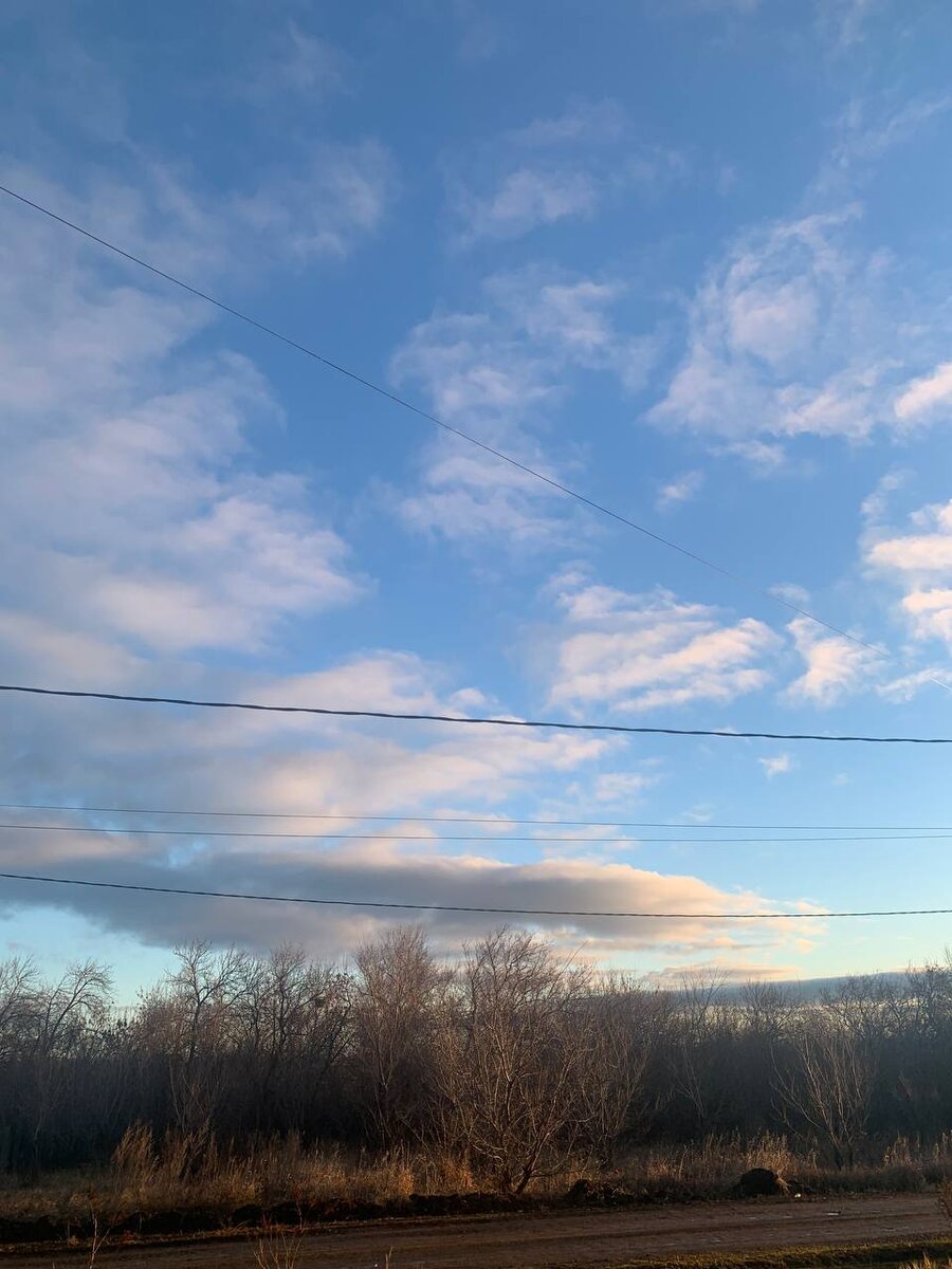 Сегодня солнечная  погода. +3. Но ветер ледяной. Прогулка отменилась моя.