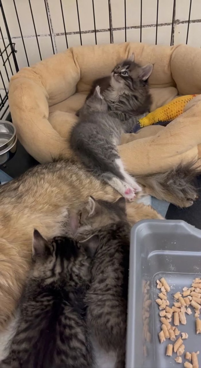 Такая малышня забавная. Все уже дома!