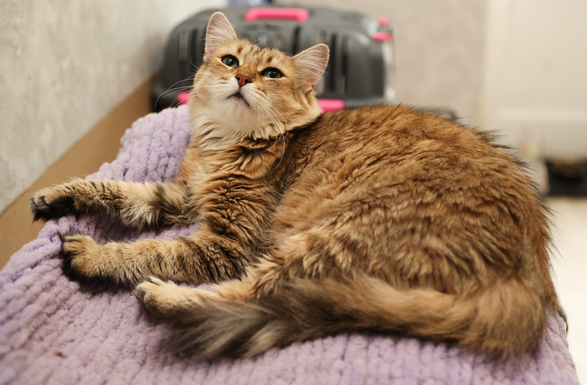 Я точно кому-то нужна, просто он ещё не видел меня