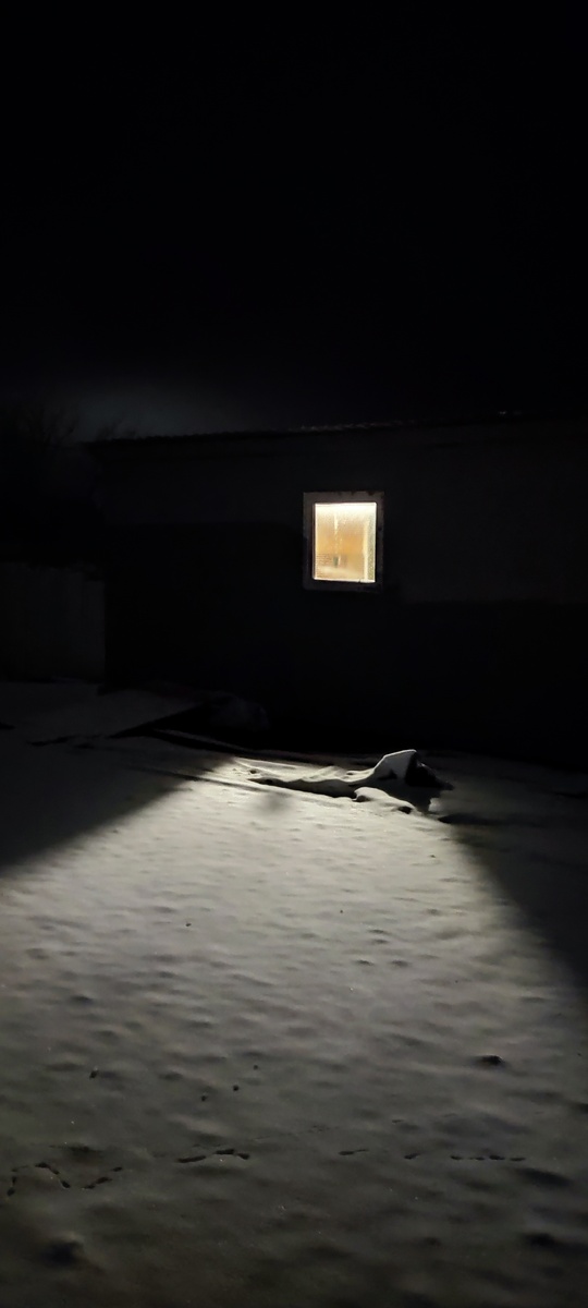 Кошачий дом